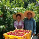 농암로(예안면) 이미지