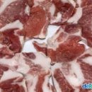 신도세기강남