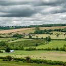 드림 행정사 이미지