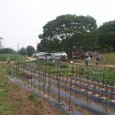 봉담농장 이미지