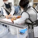 박동물병원 네이버블로그
