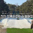 천안상록리조트 | 줄 안 서고 신나게 타는 천안 상록리조트 눈썰매장 다녀온 후기