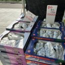 양재시민의숲역 2~3번출구 사이 이미지