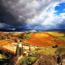 GALLERY(갤러리) 이미지