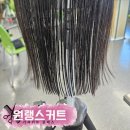 The자름헤어 | [가족커트 클래스]원랭스 커트 실습 후기-베이스, 라운드컷/스퀘어컷 익히기