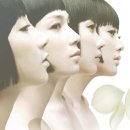 상  지 이미지