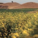 현대파크빌 이미지