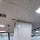 마운트 주식회사 | 가산디지털단지 사무실 이전 랜공사, 랙케이스를 설치하는 이유?