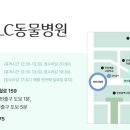 만수동물병원