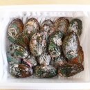 완도참전복