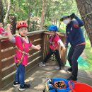 남산숲어린이집 이미지