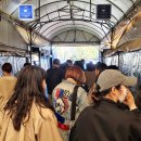 제주시민속오일시장 이미지