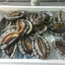 전복총각 이미지