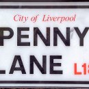 탑 피시 이미지