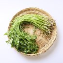 Point-봄의 향 이미지