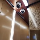 부림로24-12 | 엘리베이터 거울에 생긴 기스 스크래치 전문가 저렴하게 해결하는 방법 사례