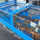 바다회백화점 이미지