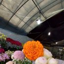 천호대로 213길 이미지