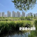 운정호수 공릉폭포 인근 | 파주 운정호수공원 피크닉 산책 음악분수 공연시간 주차안내