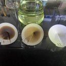 목향편백