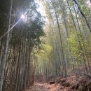 상존경로당 이미지