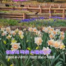 성남시립식물원 | 경기도 성남 가볼만한곳 성남시립 은행식물원 아이와 공원 나들이 가자!