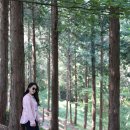 너릿재 찻집 | 전남 화순군 여행코스 및 사진명소 5곳