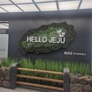 스밀제주 | 계획은 스냅 촬영 (명리동식당/산지해장국 구좌세화점/비밀의숲/제주다즐스냅/송당승마장/ 스밀제주)