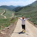 봉화랜드 이미지