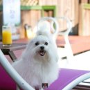 멍펜션3 이미지