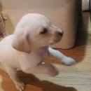 알럽에스제이 | 양평 이색카페 추천 :: 루프탑에서 불멍하며 맥주 한 잔!