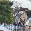 안면도쥬라기박물관 이미지