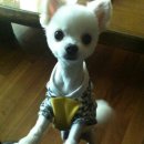 김지영복싱GYM 이미지