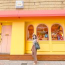 글라스미 렌즈미 창원용호점 | 안경테를 사면 안경알이 무료, 렌즈미 글라스미 안경 창원용호점