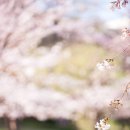 부산종합운동장 아시아드주경기장 이미지