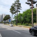 사임당로1-2 이미지