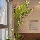 까사드발리(CASA DE BALI) 이미지