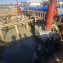 파주연합의원 이미지