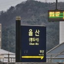 열우물로49번길 이미지