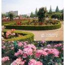 로얄바카라 이미지