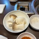참토우 이미지