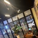 제일황소 이미지