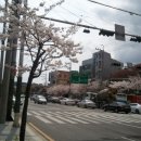 죽성사거리(2) 이미지