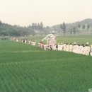 초록마을군산
