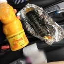 그린카하우스 | 8月🍊제주도 :: 어쩌다보니 관광객 코스 .. ෆ⸒⸒ᐡ•͈ ·̭ •͈ᐡෆ⸒⸒
