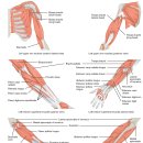 수부한의원 이미지