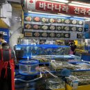 가락시장공판장 | [송파/가락 몰] 내돈내산 바다나라 추천 포장 후기 #꽃게찜 #갑오징어회