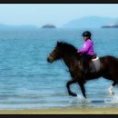 나불도 승마랜드 이미지