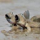 청마루식당 이미지