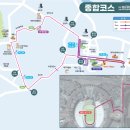 봄맞이 4월마라톤, 제18회 영남일보 국제하프마라톤 생생 후기